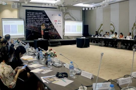 Chuyên gia Thụy Điển chia sẻ kinh nghiệm quản lý giao thông công cộng tại Thành phố Hồ Chí Minh. (Ảnh: Hoàng Hải/TTXVN)