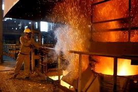 Ảnh chỉ có tính minh họa. (Ảnh: Huy Hùng/TTXVN)