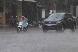 Ảnh chỉ có tính minh họa. (Ảnh: Phạm Cường/TTXVN)