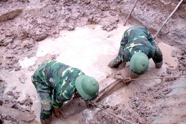 Ảnh chỉ có tính minh họa. (Ảnh: Văn Đức/TTXVN)