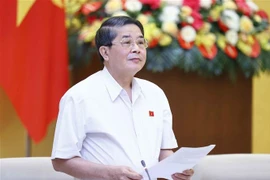 Phó Chủ tịch Quốc hội Nguyễn Đức Hải phát biểu. (Ảnh: Doãn Tấn/TTXVN)