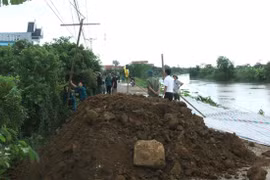 Theo báo cáo nhanh của huyện Nga Sơn, trong sáng 11/8, tại vị trí Km6+570m đến Km6+690m đê tả sông Càn qua xã Nga Điền đã xảy ra sự cố sụt lún, sạt trượt, nứt mặt, thân đê và mái đê phía sông. (Ảnh: Hoa Mai/TTXVN)