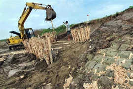 Khắc phục sạt lở đê biển ở thị xã Vĩnh Châu, Sóc Trăng. (Ảnh: Trung Hiếu/TTXVN)