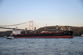 Tàu chở ngũ cốc di chuyển dọc Eo biển Bosphorus, ở Istanbul, Thổ Nhĩ Kỳ, ngày 2/11/2022. (Ảnh: AFP/TTXVN)