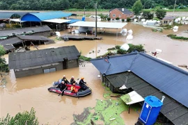 Lực lượng cứu hộ tìm kiếm nạn nhân mất tích tại khu vực ngập lụt do mưa lớn gây ra bởi bão Khanun ở thành phố Daegu, Hàn Quốc ngày 10/8/2023. (Ảnh: YONHAP/TTXVN)