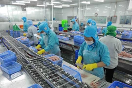 Nhà máy chế biến cá tra xuất khẩu ở thành phố Cần Thơ. (Ảnh: Vũ Sinh/TTXVN)