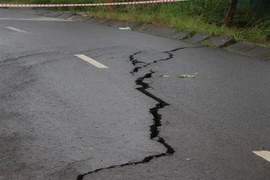 (Ảnh minh họa: Hưng Thịnh/TTXVN)