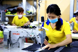 Công nhân may làm việc tại Công ty TNHH May mặc Dony, xã Vĩnh Lộc A, huyện Bình Chánh, Thành phố Hồ Chí Minh. (Ảnh: Hồng Đạt/TTXVN)