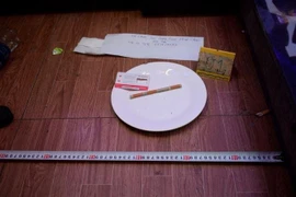 (Ảnh minh họa: TTXVN phát)