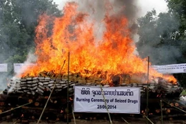 Mỹ viện trợ 1 triệu USD giúp Lào thay thế cây thuốc phiện