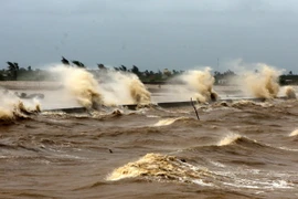 Áp thấp nhiệt đới đang tiến vào khu vực phía Bắc vịnh Bắc Bộ