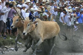 Thăm và tặng quà đồng bào Khmer Sóc Trăng nhân Lễ Sen Dolta