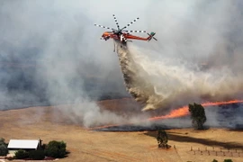 Con người là tác nhân gây ra các hình thái thời tiết cực đoan