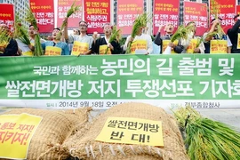 Hàn Quốc quyết định đánh thuế hơn 500% đối với gạo nhập khẩu