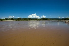 Mexico ban bố báo động sau vụ tràn hóa chất độc hại xuống sông