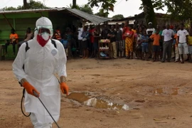 IMF cảnh báo dịch Ebola làm suy giảm kinh tế khu vực Tây Phi