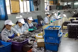 Xúc tiến đầu tư Vườn ươm công nghệ Việt Nam-Hàn Quốc