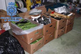 140kg cocain giấu trong thùng đựng chuối ở siêu thị