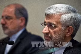 Trưởng đoàn đàm phán hạt nhân Iran Saeed Jalili (phải) trong cuộc họp báo tại Ấn Độ ngày 4/1/2013. (Nguồn: AFP/TTXVN)