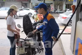 Ảnh minh họa. (Nguồn: Vietnam+)