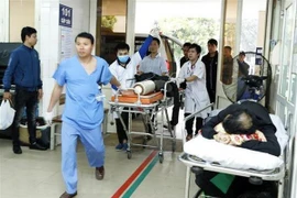 Ảnh minh họa. (Nguồn: TTXVN)