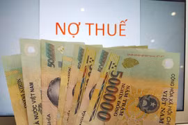 Ảnh minh họa. (Nguồn: Vietnam+)