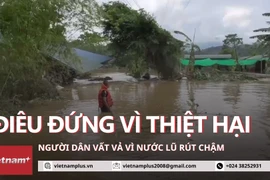 Vùng lũ ngập sâu, cô lập nhiều nhà dân với bên ngoài trên địa bàn tỉnh Phú Thọ