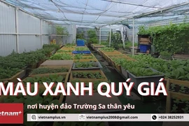Những vườn rau quý giá nơi đầu sóng ngọn gió Trường Sa