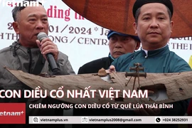 Chiêm ngưỡng diều cổ hàng trăm năm tuổi được rước dịp đầu năm mới