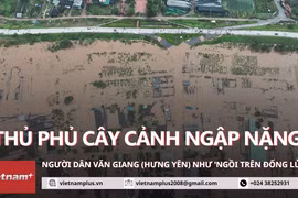 Nước rút chậm, nông dân thủ phủ cây cảnh Văn Giang "ngồi trên đống lửa"