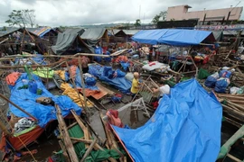 Cảnh tàn phá sau khi bão Nock-Ten quét qua ở thị trấn Polangui, tỉnh Albay ngày 26/12. (Nguồn: EPA/TTXVN)