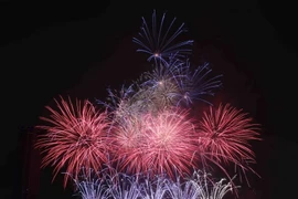 Trình diễn thi bắn pháo hoa tại Cuộc thi trình diễn pháo hoa quốc tế Đà Nẵng năm 2015. (Ảnh: Trần Lê Lâm/TTXVN)