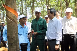 Ông Nguyễn Văn Bình, Ủy viên Bộ chính trị, Bí thư trung ương Đảng, Trưởng ban Kinh tế Trung ương, Trưởng ban chỉ đạo Tây Bắc, nói chuyện với công nhân Công ty cổ phần cao su Lai Châu. (Ảnh: Quang Duy/TTXVN)