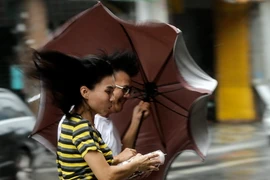 Kinh hãi với sức tàn phá khủng khiếp của siêu bão Megi