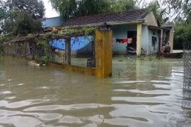 Mưa lớn gây ngập lụt trên diện rộng ở huyện Phú Ninh, Quảng Nam, ngày 3/12. (Ảnh: Đỗ Trưởng/TTXVN)
