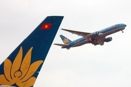 Thanh tra Bộ Giao thông phát hiện nhiều sai phạm qua kiểm tra thiết bị hộp đen lắp trên xe. (Ảnh: Việt Hùng/Vietnam+)