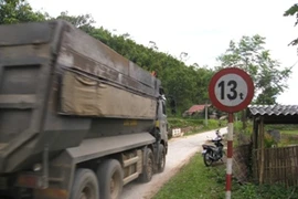 Ảnh minh họa (Ảnh: Nguyễn Trình/TTXVN)