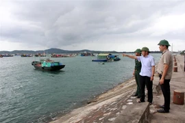 Ban Chỉ huy Phòng chống thiên tai và tìm kiếm cứu nạn huyện Cô Tô kiểm tra công tác phòng chống bão. (Ảnh: TTXVN)