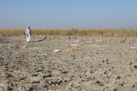 Đầm lầy Mesopotamian khô hạn. (Nguồn: globaltimes.cn)