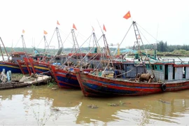 Các tàu neo đậu quanh khu vực cảng cá Tân Sơn (huyện Thái Thụy) để tránh trú bão số 2. (Ảnh: Thế Duyệt/TTXVN)