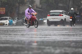 (Ảnh minh họa: Thanh Tùng/TTXVN)