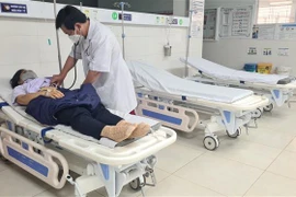 (Ảnh minh họa: Hồng Điệp/TTXVN)