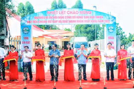 Nhãn muộn Yên Thế. (Nguồn: baobacgiang.com.vn)