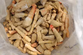 Hà Giang thu giữ gần 4 tấn măng ngâm ủ không rõ nguồn gốc