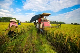 Ảnh chỉ có tính minh họa. (Ảnh: Minh Sơn/Vietnam+)