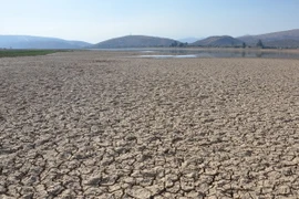 Hồ La Angostura ở Bolivia cạn khô nước do nắng nóng và hạn hán kéo dài. (Nguồn: AFP/TTXVN)
