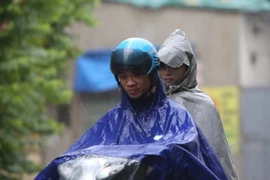 Ảnh chỉ có tính minh họa. (Ảnh: Minh Sơn/Vietnam+)