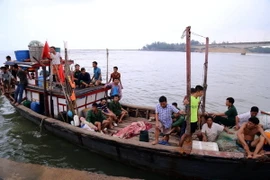 Các nạn nhân vụ chìm tầu được đưa vào đất liền an toàn. (Ảnh: Trần Tĩnh/TTXVN)