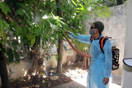 Ảnh chỉ có tính minh họa. (Ảnh: Trần Lê Lâm/TTXVN)