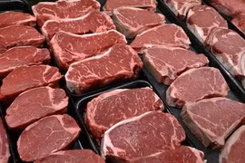 Ảnh chỉ có tính minh họa. (Nguồn: globalnews.ca)